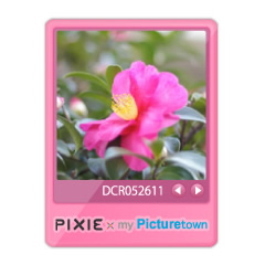 PIXIE×my Picturetown☆カラフルブログパーツ２イメージ